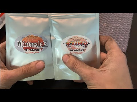 Plamski Shrimp Food Unboxing. What I Feed My Shrimp!