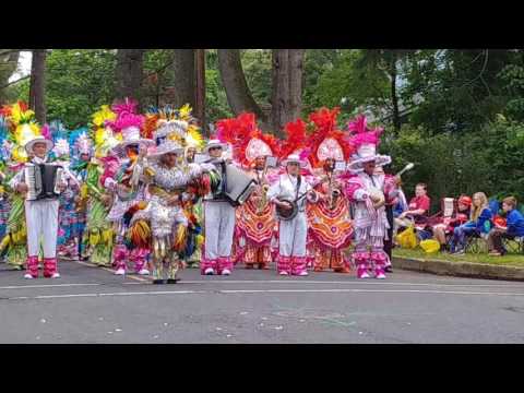 Woodland string band 2
