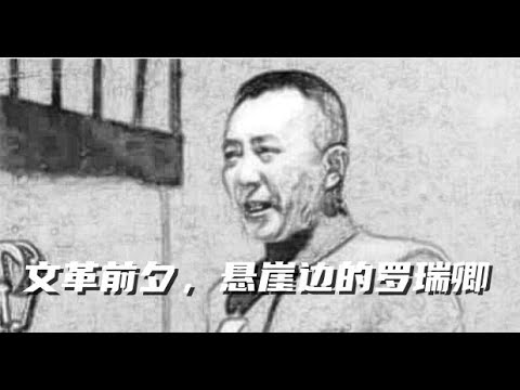 文化大革命12，罗瑞卿倒台前夕，叶剑英推波助澜，林彪态度暧昧，毛泽东不再信任，刘少奇不经意间给罗瑞卿挖的两个大坑。林彪的哥哥其实就是林彪多年前的样板，林氏兄弟相同的死因。#中国政治#文化大革命#毛泽东
