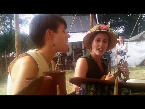 Raging Shrews : Fix You