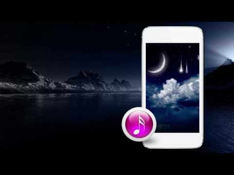 Night Sounds In Wallpapers GIF Video