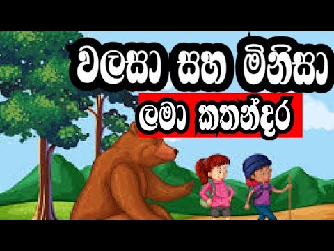 Lama kathandara - වලසා සහ මිනිසා - Walasa saha minisa - kid story