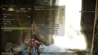 【双剣ソロNPC無し】HR18　サブクエ消化