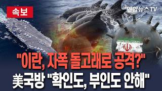 [????속보] 기뢰 장착한 돌고래, 미군 군함 공격 가능 美 언론 보도…헤그세스 확인도, 부인도 안해 | 이란은 근거 없는 날조 발끈 / 연합뉴스TV