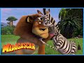 DreamWorks Madagascar Alex And Nature  Madagascar Kids Movie