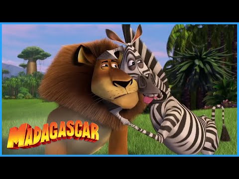 Alex From Madagascar