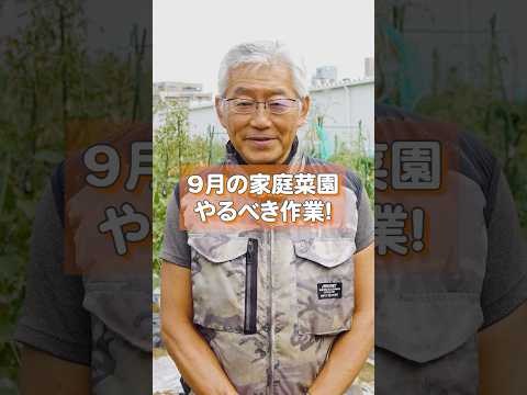 耐寒性野菜：気温や地温はどれくらい？  庭園