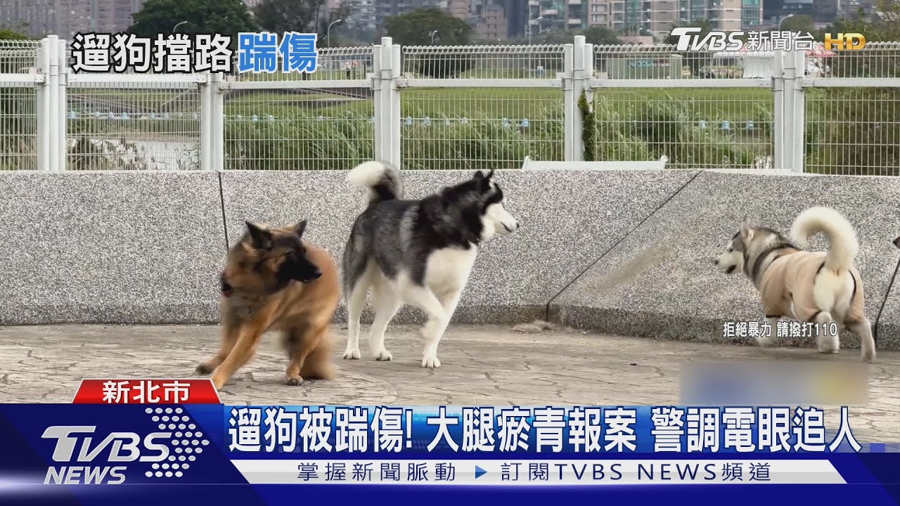 盯我狗幹嘛!遛狗被控擋路釀糾紛 2人衝突
