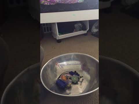 Kerbeus K2 vs Unicrest U2: Beyblade battles!