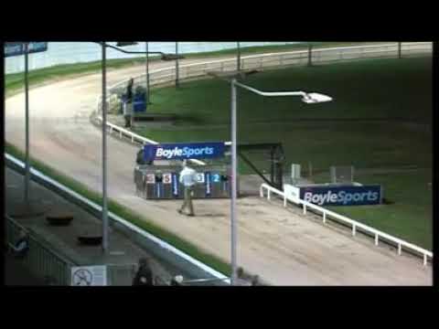 BOYLESPORTS Irish GREYHOUND DERBY 2020