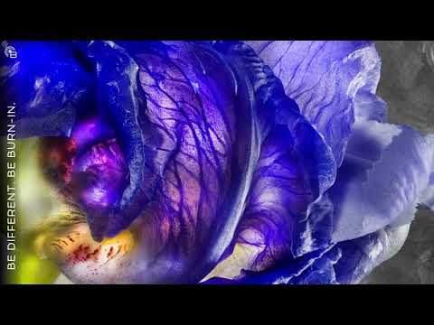 burnin artfeature fischer theartoftransformation v16 youtube