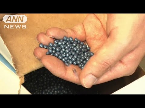 農薬は雄ミツバチの魅力を低下させる