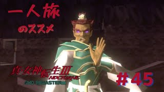 【真3HD】一人旅のススメ #45　ジコクテン　※ネタバレ注意