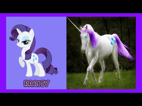 My little pony: all characters in real life | mlp
