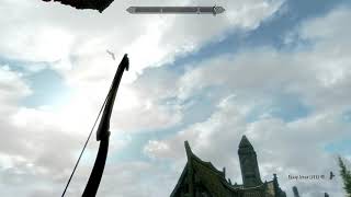 Skyrim SE - Collect of 8 Pretty Long Distance Kills with Bow and Arrows