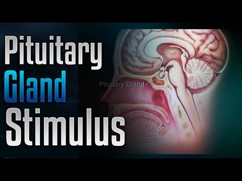 🎧 Pituitary Gland Stimulation to Release Growth Hormone with Simply Hypnotic