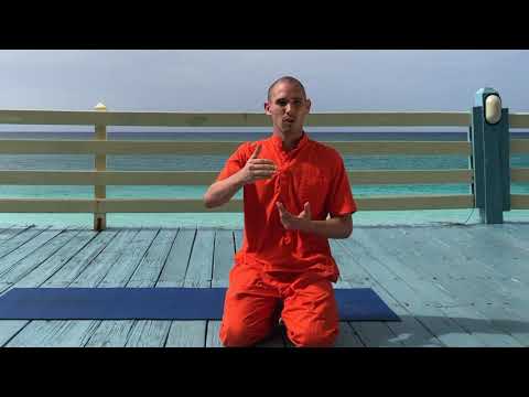 Swami Paramananda demonstrates and explains the benefits of the Peacock or Mayurasana.