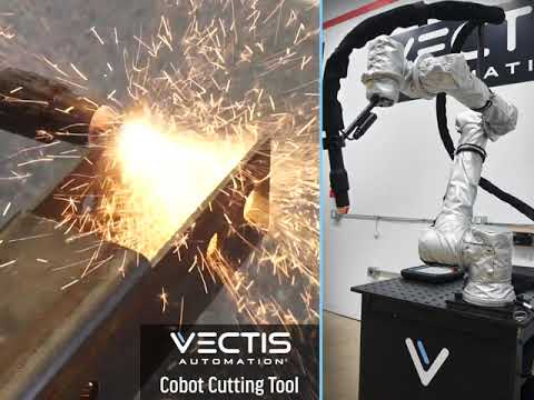 VECTIS Cobot Plasma Cobot | Demmler Machinery Inc. (1)