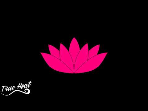 Ze66y x REV - Lotus (prod. perfect)