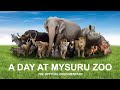 A Day At Mysuru Zoo Official Documentary HD