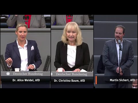 Die Impfpflicht im Bundestag 07.12.2021 AfD - Bananenrepublik