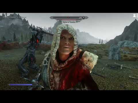 Vigilant of Stendarr - Random Encounter