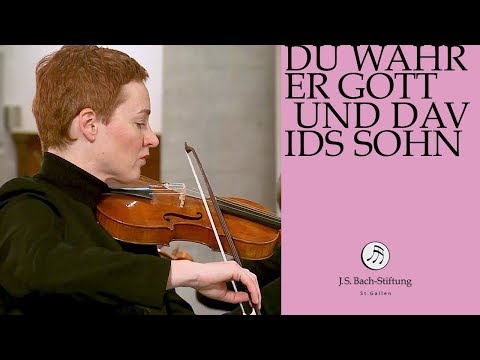Bachstiftung