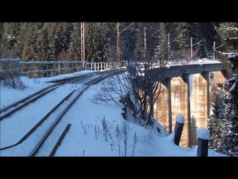 Reportajul plimbarii Silhoasa - Larion ~ 8km (misiunea 8) - 02.01.2017