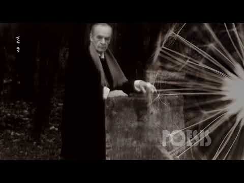 Emil Botta - Pietrele scrise