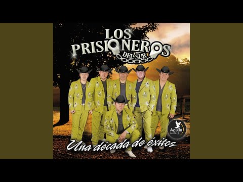 Megamix: El Carrete/No Meta las Manos/El Perro, El Gato y Yo/Como Te Extraño/Como Te Va Mi...