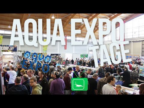 AQUA EXPO TAGE 2017 in Dortmund | Messe | GarnelenTv
