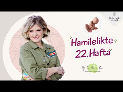 Gebelikte 22. Hafta | Op. Dr. Günnur Yüce | Hafta Hafta Gebelik