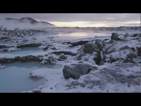 Coeurs Migratoires par Catherine Durand