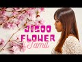 JISOO 꽃 FLOWER MV TAMIL VERSION Suthasini