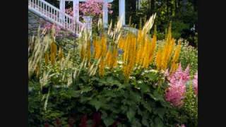 HAYKO -TRİTİ FORA [HQ]