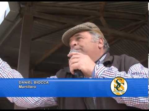 DANIEL BIOCCA - La Verbena y Santa Clara - Ganaderos Robles del Sur - Copetonas - 04/09/2013