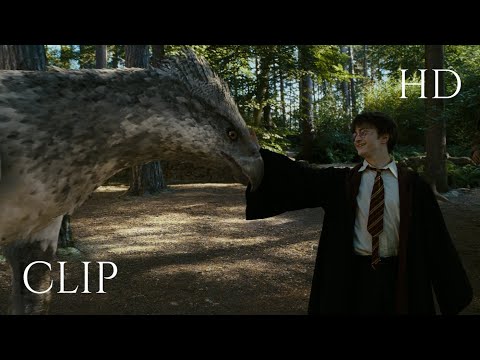 Meet Buckbeak - Harry Potter and the Prisoner of the Azkaban (2/6) (2004) [HD]
