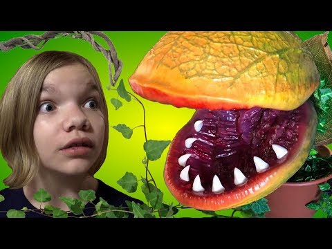 download lagu mp3 mp4 Man Eating Plant, download lagu Man Eating Plant gratis, unduh video klip Man Eating Plant