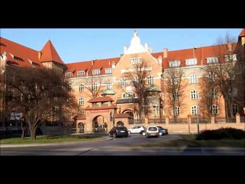 Pieśń szkolna - Słowa, muzyka, wokal: Zygmunt Adamkiewicz