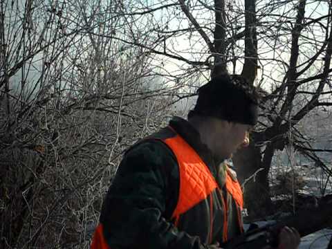 Lovci Prcilovica-ruska petometka (DJOLE)