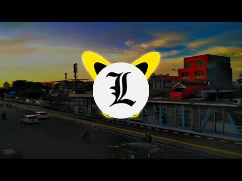 Martin Garrix ft. Aleesia X Instant Party! & Skellism - Gold Skies (Liskyan Mashup)