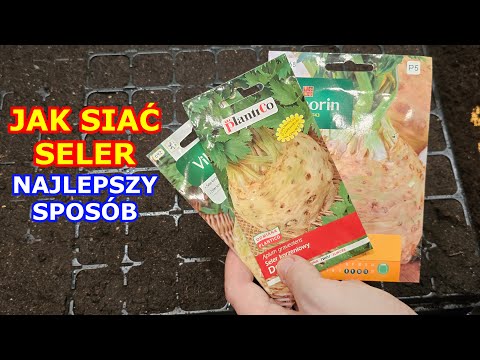 How to Sow Celery - The Best Way to Sow Celery - How to Grow Celery