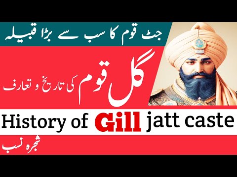 History of Gill caste | History of gill jatt in urdu / Hindi | History of the Gill tribe | Gill j...