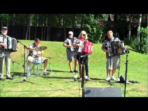 Wiggen - Smörgåsbandet - Ransäter 2011 - Bälgspel vid landsvägskanten