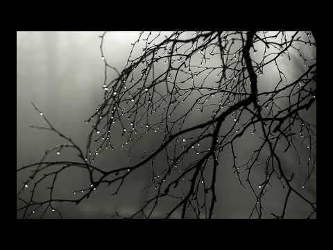 Ana Širić Feat Urban - Kažu svi da izmišljam (cover)