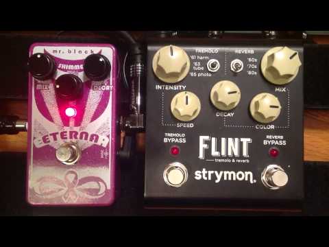 Mr. Black Eterna Shimmer vs Strymon Flint