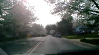 preview picture of video 'Cherry Blossoms near Aspen Hill, MD'