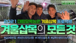 겨울 농사 비법 ☞ 겨울 삽목으로 사계절 농업 소득 만들기ㅣ[대림묘목농원_겨울 삽목의 모든 것 2편]