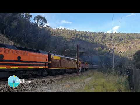 Diesel Locomotive CLF4, 4204, 4486 & 4464 - Vintage Rail Journey - Golden West Tour - February 2022