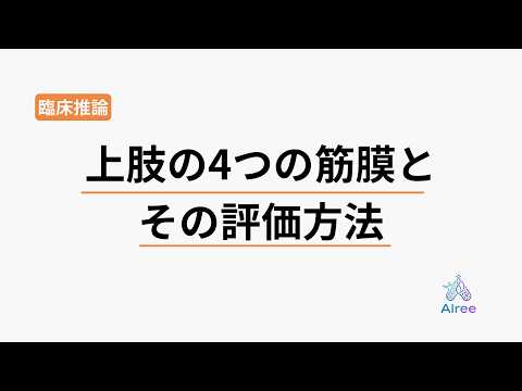 腕の痛みが取れない本当の原因は"4つの筋膜"にあった